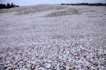 ホタテ貝殻廃棄場と風力発電