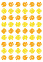 Citric background. Lemons and oranges.