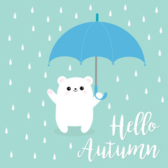 Hello autumn. Polar white small little bear cub holding umbrella. Rain drops. Cute cartoon baby character. Arctic animal collection. Blue background. Isolated.