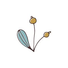 Vector Christmas floral element