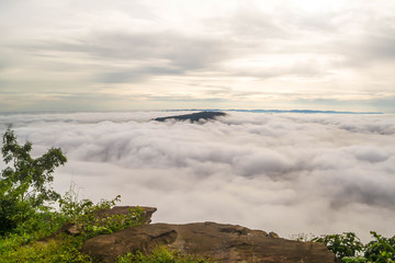 Sea of mist on mountain with brown rock and tropical plant 