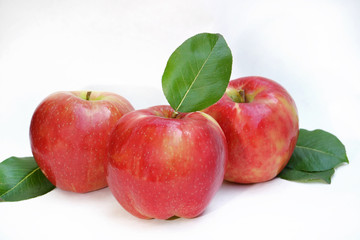 Red ripe apples on white background.