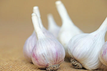 Garlic is ready to eat. Garlic is isolated on the background of the bag.