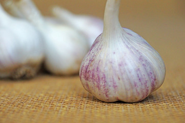 Garlic is ready to eat. Garlic is isolated on the background of the bag.