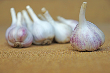 Garlic is ready to eat. Garlic is isolated on the background of the bag.