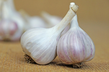 Garlic is ready to eat. Garlic is isolated on the background of the bag.