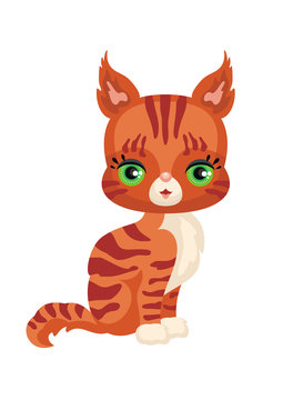 Vector image of a cute purebred kitten in cartoon style. Children's illustration.