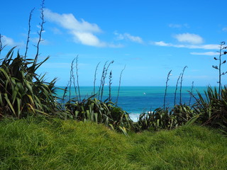 Muriwai Beach, Auckland, Neuseeland