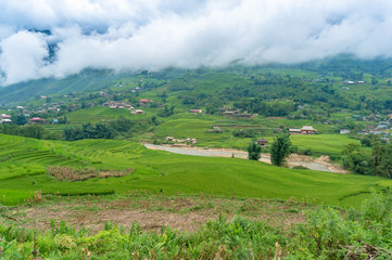 Fototapeta na wymiar Countryside, rural landscape with rice paddy and village