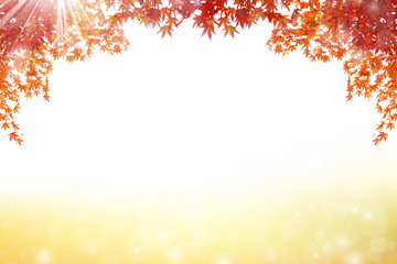 秋のイメージ:紅葉
