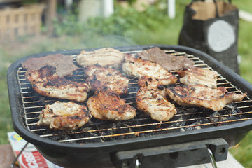 meat on grill, hot barbecue in the garden