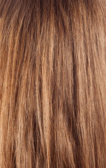 woman's hair in detail, closeup. vertical photo