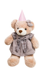 soft toy bear isolated
