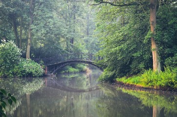 Green park in the morning. Bridge in a beautiful park in Pszczyna, Poland. - obrazy, fototapety, plakaty