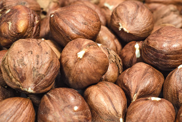 Background of peeled huzelnuts