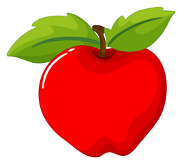 Red apple on white background