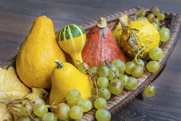 autumn pumpkins and grapes in basket for home decoration