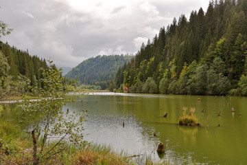 Mountain lake scenery, Lacu Rosu or Red lake and bicaz river in cloudy, rain weather, Eastern Carpathians, Romania, nature landscape background.