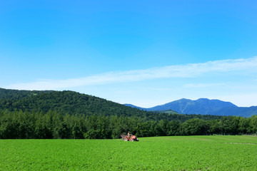 Fototapeta na wymiar 北海道の風景　南富良野