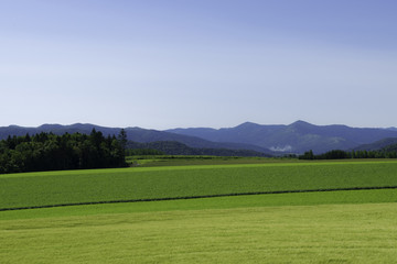 南富良野の風景