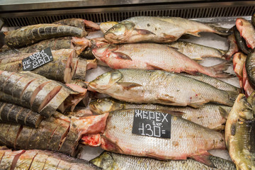 Fresh raw fish on the supermarket counter. River fish.