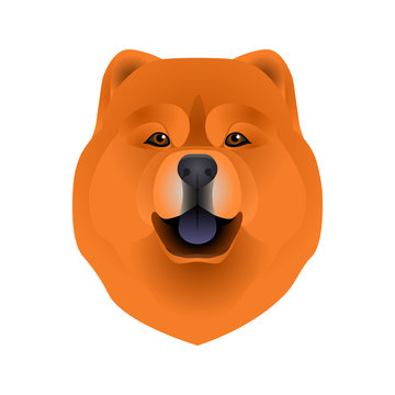 recommend clip art: Isolated colorful head and face of chow chow on white background. Line color flat cartoon breed dog portrait