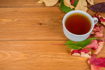 autumn foliage and tea cup on rustic garden table, top view