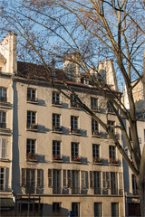 Fototapeta na wymiar Immeuble typique de Paris, rue des Fossés Saint Bernard 