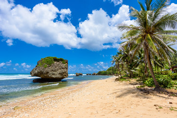 Rock formation on the beach of Bathsheba, East coast of  island Barbados, Caribbean Islands - travel destination for vacation