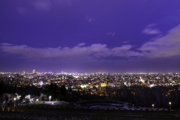 Obraz premium 札幌の夜景