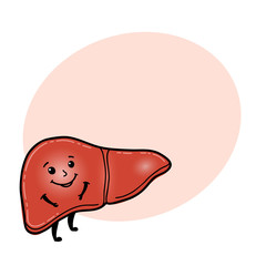 Cute and funny liver character with human face and round space for text, cartoon vector illustration isolated on white background. Healthy smiling liver character with arms and legs