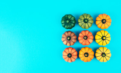 Decorative pumpkins on blue background.