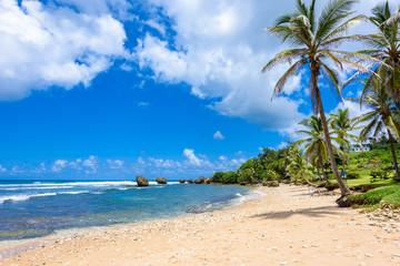 Rock formation on the beach of Bathsheba, East coast of  island Barbados, Caribbean Islands - travel destination for vacation