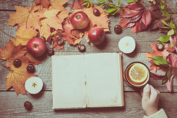 Fall. Old album with space for text and cup of tea in hand, decor of autumn leaves, apples on wooden board. Matte effect.