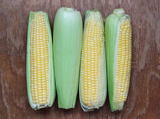 maize