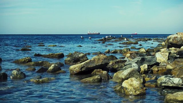 Ordinary gulls sitting on rocks in the water rocky shore on the horizon cargo ships on the roadstead