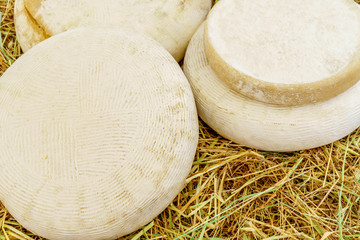 Typical italian cheese head