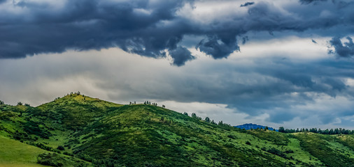 Fototapeta na wymiar Hills, green trees and meadows with heavy clouds before thunderstorm, Altai Mountains, Kazakhstan