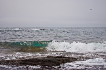 Sea shore. Cold sea.