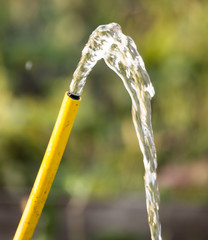 splashing water from a hose in the garden