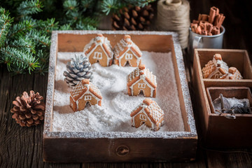 Beautiful gingerbread cottages for Christmas with trees and snow