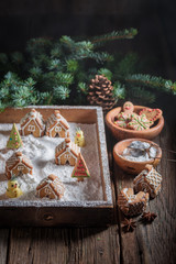 Adorable gingerbread cottages for Christmas with trees and snow