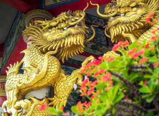 Gold dragon sculpture and Red flower of Christ Thorn in Chinese religious venues