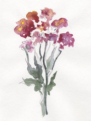 Bouquet of violets, beautiful watercolor flowers, drawing