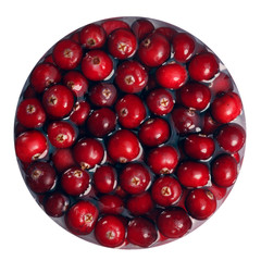 Floating immersed cranberries, top view, paths