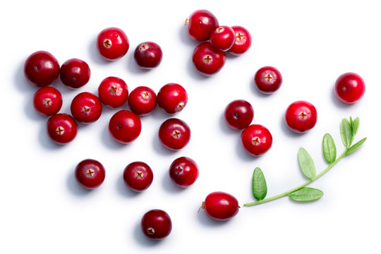 Cranberries with leaves, top view, paths