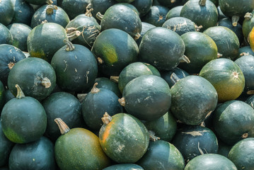 Kürbisse - Chestnut - Speisekürbis