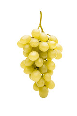 Weiße Trauben