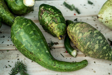 Zierkürbis auf rustikalem Brett arrangiert