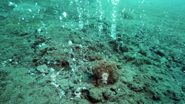 Hot water bubbles, rising from underwater volcano on ocean floor at Pulau Weh, Indonesia 